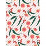 All Wrapped Up | Notecards | Australia by Alice Oehr | Set of 16